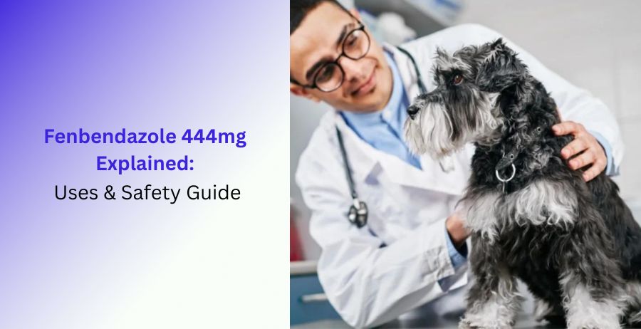 Fenbendazole 444mg Explained Uses and Safety Guide