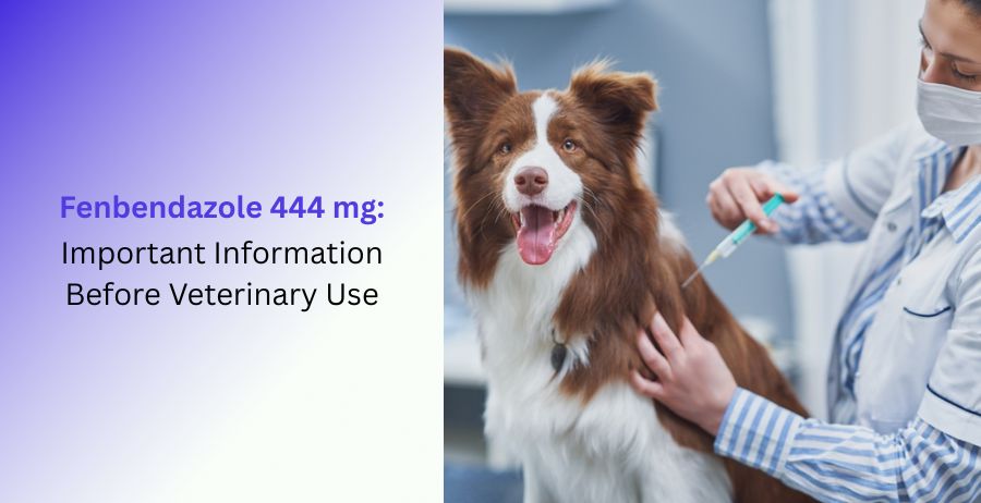 Fenbendazole 444 mg veterinary antiparasitic medicine safety and usage information