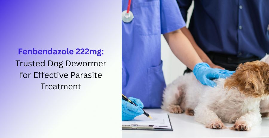 Fenbendazole 222 Mg dog dewormer tablets for parasite treatment and intestinal worm control in dogs