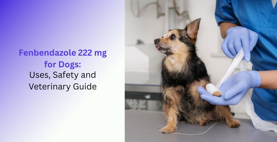 Fenbendazole 222 mg for dogs veterinary parasite treatment and safety guide