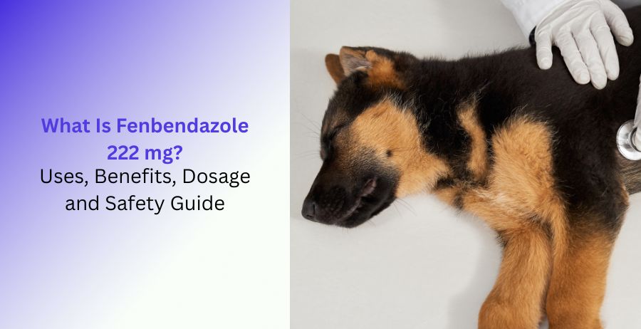 Fenbendazole 222 mg uses benefits dosage and safety guide