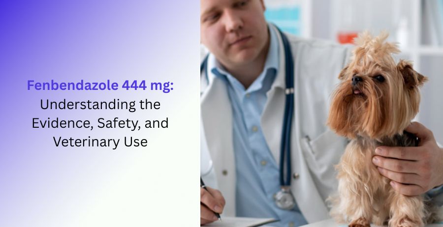 Fenbendazole 444 mg safety information and evidence overview