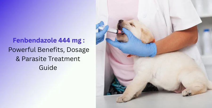 Fenbendazole 444 mg antiparasitic tablets for parasite treatment and management