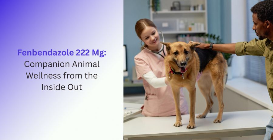 Fenbendazole 222 Mg veterinary deworming tablets for dogs and companion animals, highlighting parasite control, digestive health, preventive veterinary care, and overall pet wellness.