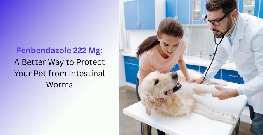Fenbendazole 222 mg veterinary tablets with information on protecting pets from intestinal worms, dog deworming, parasite control, dosage, benefits, safety precautions, and pet health
