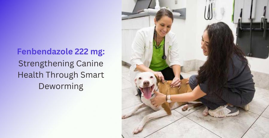 Fenbendazole 222 mg veterinary tablets for smart dog deworming, helping control intestinal worms, support digestive health, and strengthen overall canine wellness under veterinary guidance.