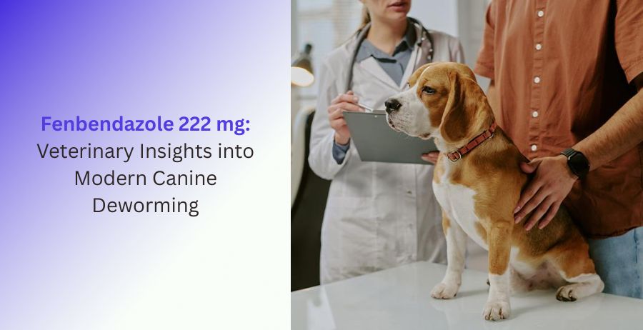 Fenbendazole 222 mg veterinary tablets used for modern canine deworming, helping control intestinal worms, improve digestive health, and support long-term parasite prevention in dogs.