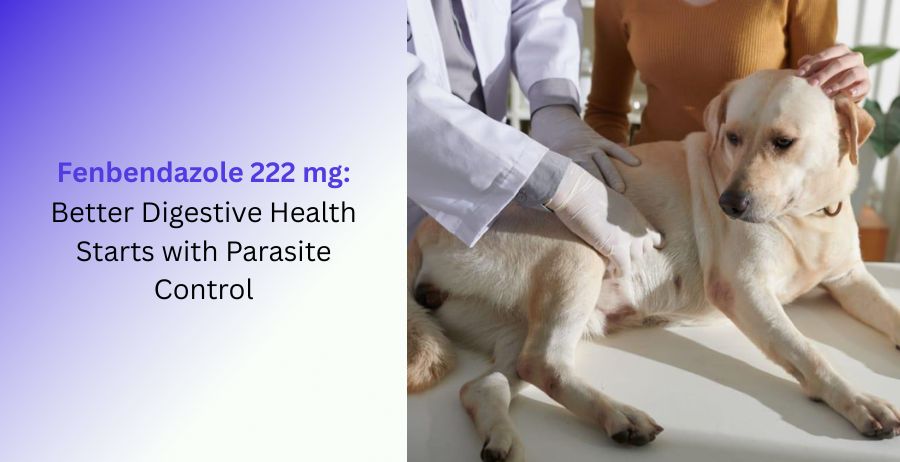Fenbendazole 222 mg veterinary tablets with information on parasite control, digestive health, dog deworming, dosage, benefits, safety precautions, and intestinal worm treatment