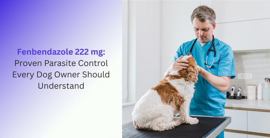 Fenbendazole 222 mg veterinary tablets for dog deworming, intestinal parasite control, dosage guidance, benefits, safety precautions, and canine worm treatment.