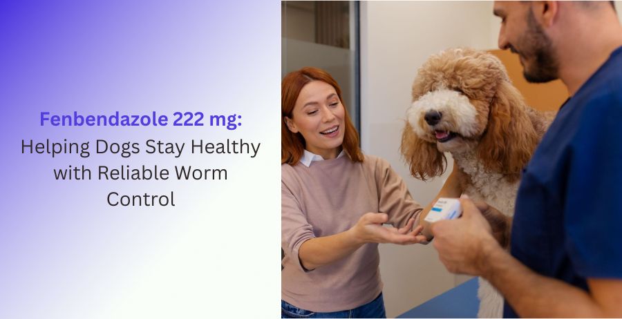 Fenbendazole 222 mg veterinary tablets for reliable dog deworming, intestinal worm control, digestive health support, dosage guidance, benefits, and safe parasite treatment.
