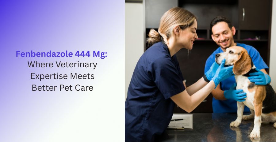 Fenbendazole 444 Mg veterinary deworming medication for parasite control in pets, highlighting veterinary guidance, pet wellness, intestinal parasite management, and preventive animal healthcare.