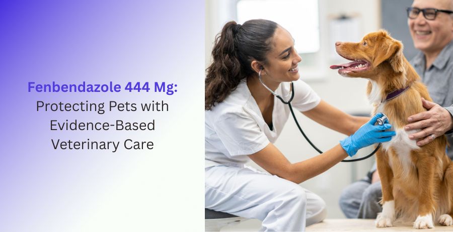 Fenbendazole 444 Mg veterinary deworming tablets for dogs and companion animals, highlighting evidence-based parasite treatment, preventive pet healthcare, digestive wellness, and veterinary guidance.