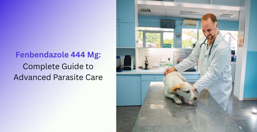 Fenbendazole 444 Mg veterinary tablets with a complete guide to advanced parasite care, deworming, dosage guidance, benefits, side effects, and safe veterinary use