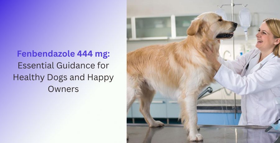 Fenbendazole 444 mg veterinary tablets for dog deworming, providing essential guidance on intestinal parasite treatment, dosage, safety, benefits, and responsible canine care.
