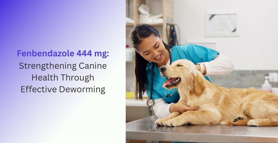 Fenbendazole 444 mg veterinary tablets for effective dog deworming, helping control intestinal worms, support digestive health, and strengthen overall canine wellness under veterinary guidance.