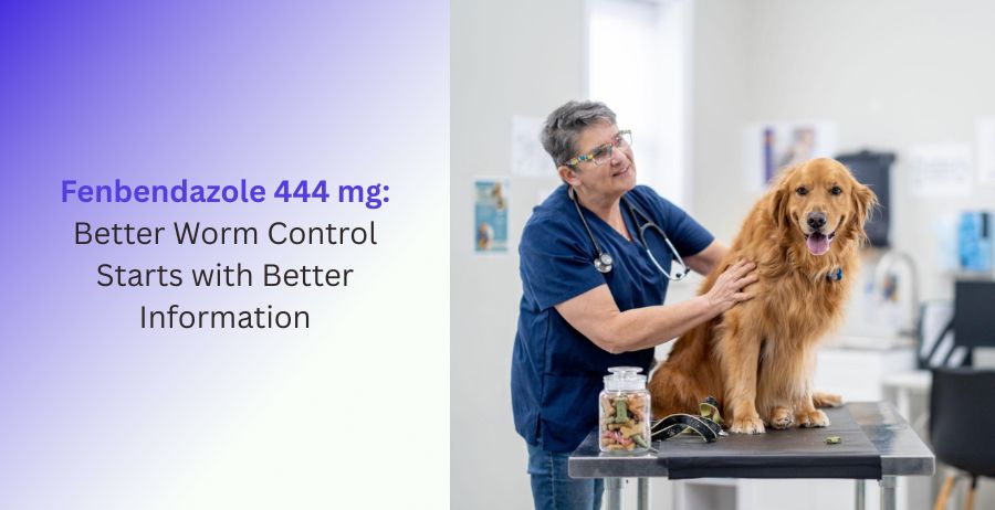 Fenbendazole 444 mg veterinary tablets for dog deworming, helping control intestinal worms, improve digestive health, and support effective parasite prevention under veterinary care.