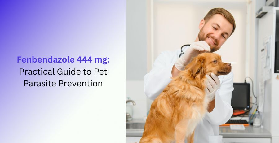 Fenbendazole 444 mg practical guide to pet parasite prevention