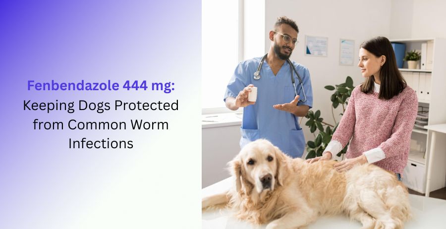 Fenbendazole 444 mg veterinary tablets with guidance on protecting dogs from common worm infections, deworming, parasite control, dosage, benefits, and safety precautions