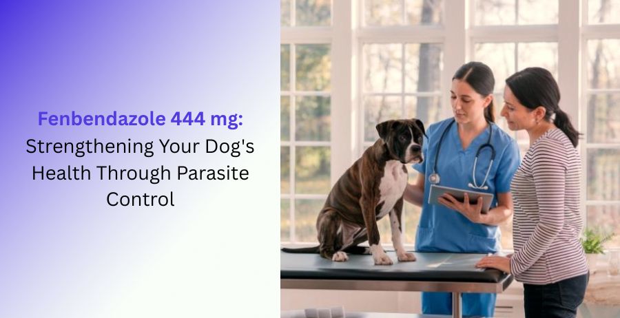Fenbendazole 444 mg veterinary tablets for dogs with information on parasite control, deworming, digestive health, dosage, benefits, safety precautions, and intestinal worm treatment