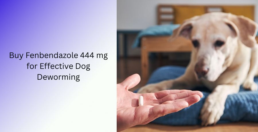 Fenbendazole 444 mg tablets for effective dog deworming with veterinary guidance on dosage, parasite control, benefits, safety, and intestinal worm treatment