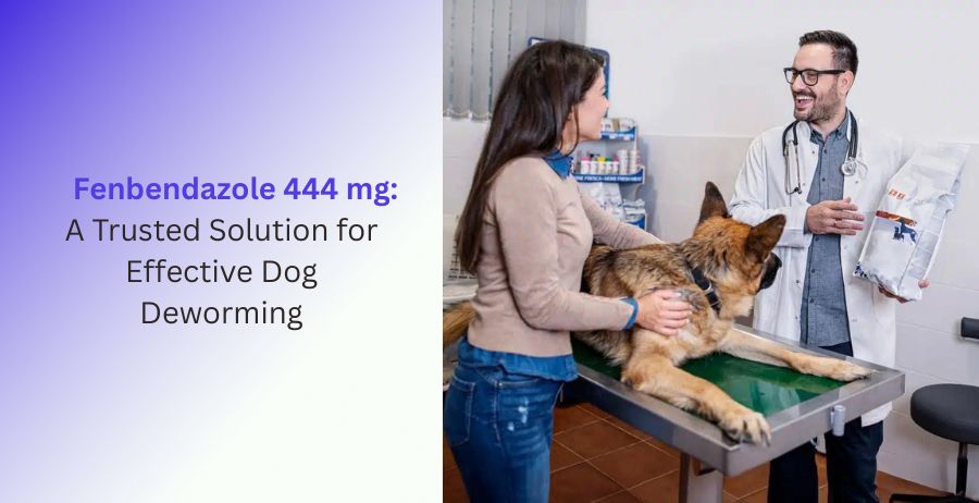 Fenbendazole 444 mg veterinary tablets for dog deworming, intestinal parasite control, dosage guidance, benefits, safety precautions, and effective canine worm treatment.