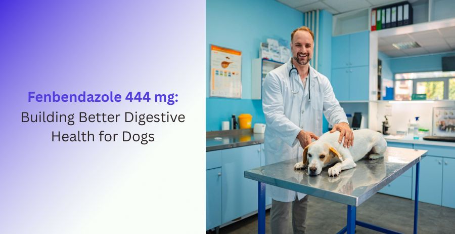 Fenbendazole 444 mg veterinary tablets for treating intestinal worms in dogs, supporting digestive health, parasite control, dosage guidance, benefits, and safe deworming practices.