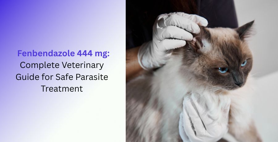 Fenbendazole 444 mg veterinary medicine for parasite treatment dosage safety uses and side effects in animals