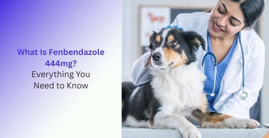 Fenbendazole 444mg complete guide with uses safety and dosage information