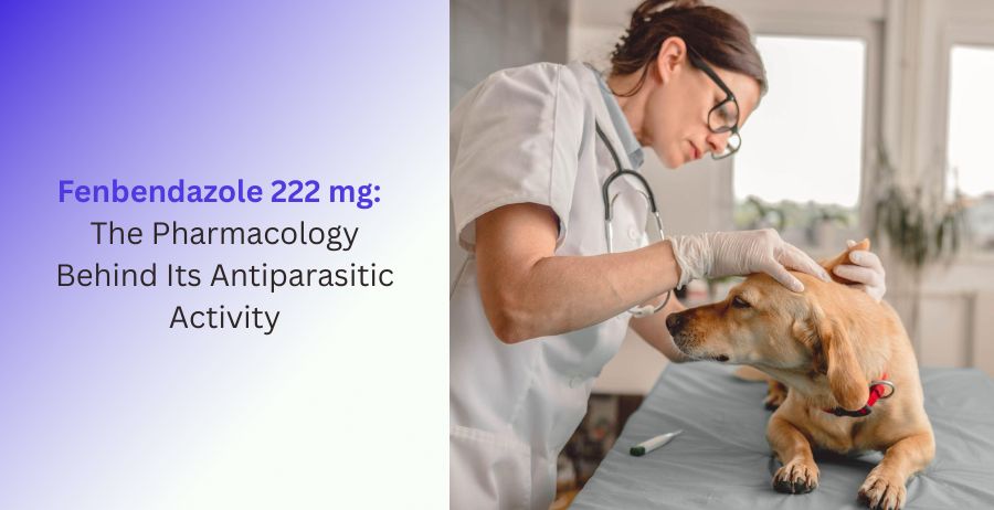 Fenbendazole 222 mg Pharmacology and Antiparasitic Activity