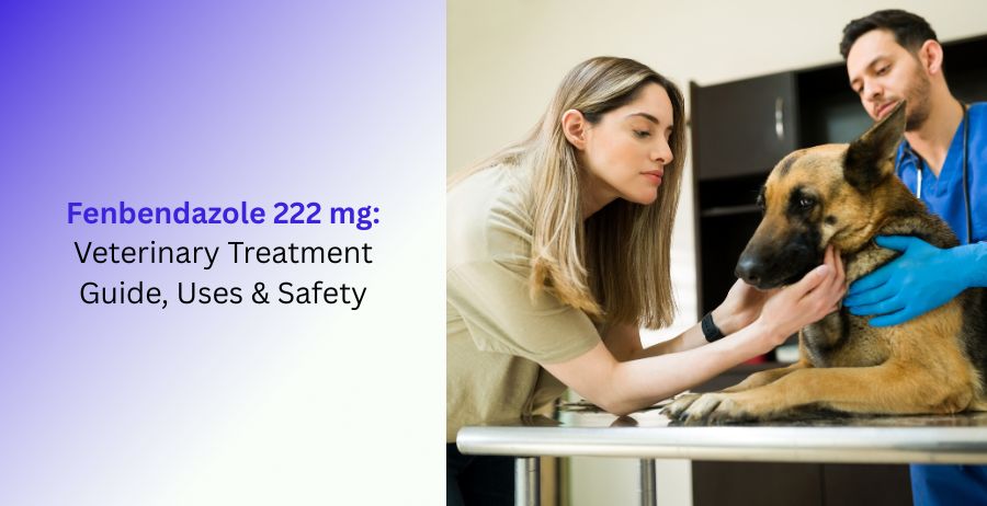 Fenbendazole 222 mg Veterinary Treatment, Uses & Safety Guide