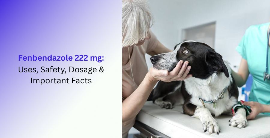Fenbendazole 222 mg Uses, Safety & Dosage Guide