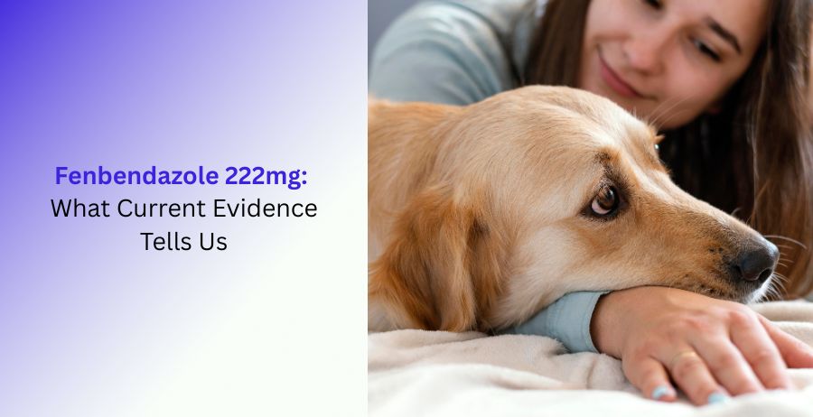 Fenbendazole 222mg Current Evidence and Research