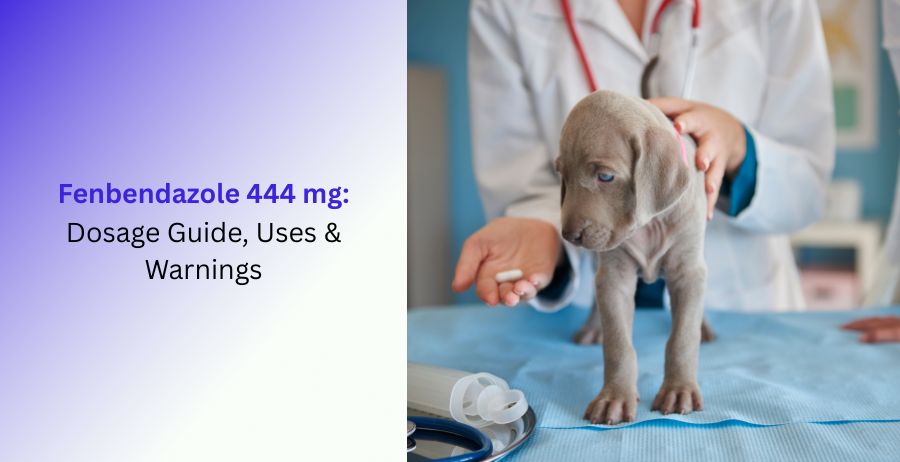Fenbendazole 444 mg Dosage, Uses & Warnings Guide
