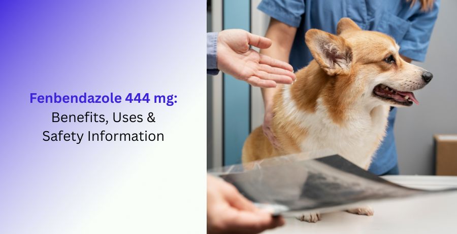 Fenbendazole 444 mg Benefits, Uses & Safety Information