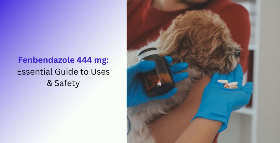 Fenbendazole 444 mg Essential Guide to Uses & Safety