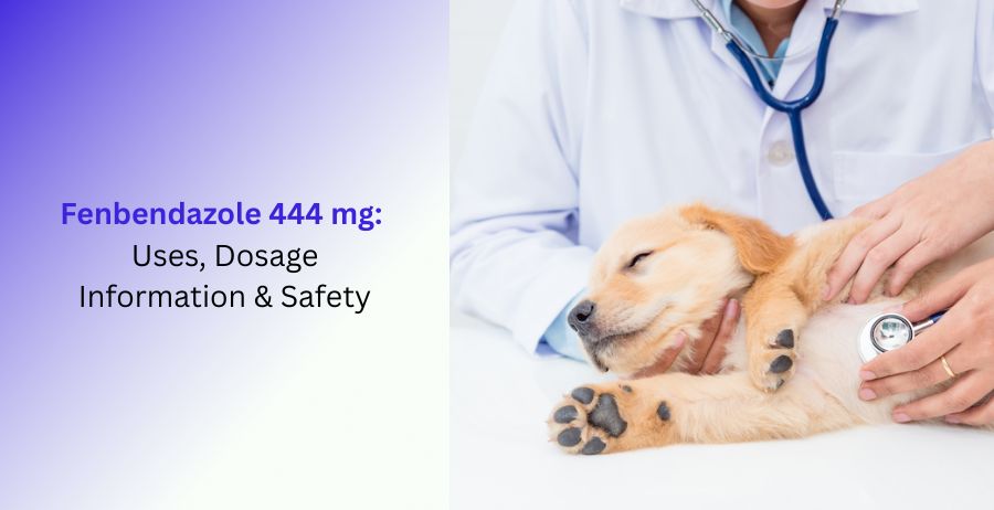 Fenbendazole 444 mg Uses, Dosage Information & Safety
