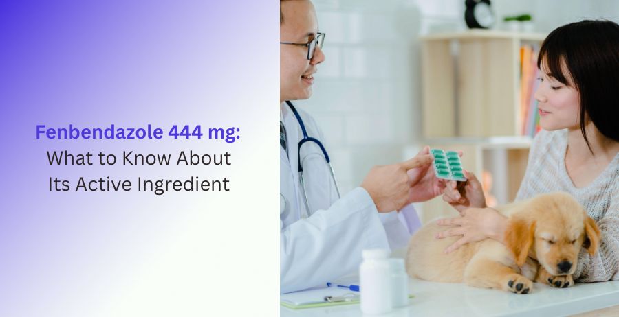 Fenbendazole 444 mg Active Ingredient Guide