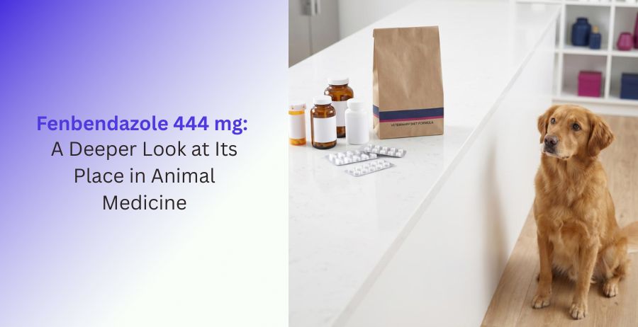 Fenbendazole 444 mg Animal Medicine Guide