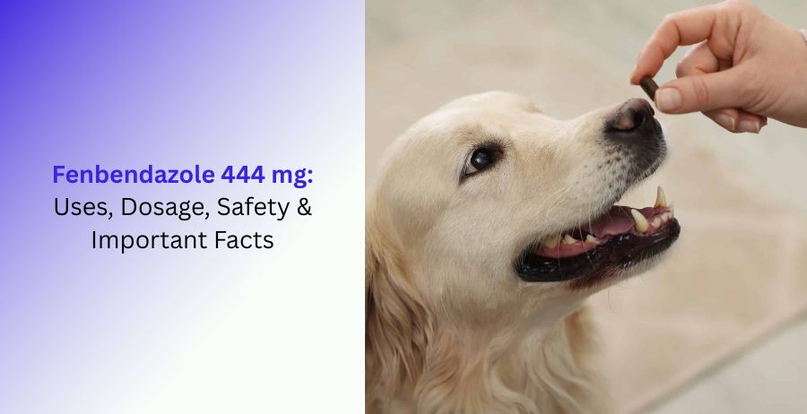 Fenbendazole 444 mg Uses, Dosage & Safety Guide