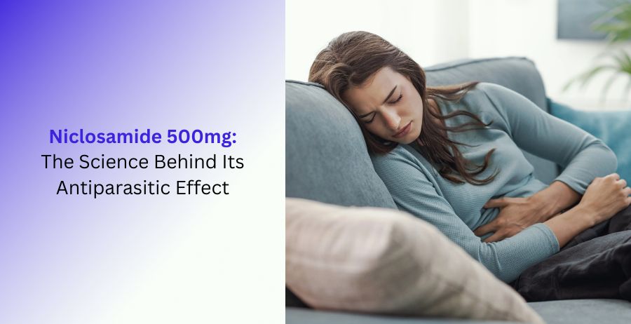 Niclosamide 500mg Antiparasitic Effect and Mechanism