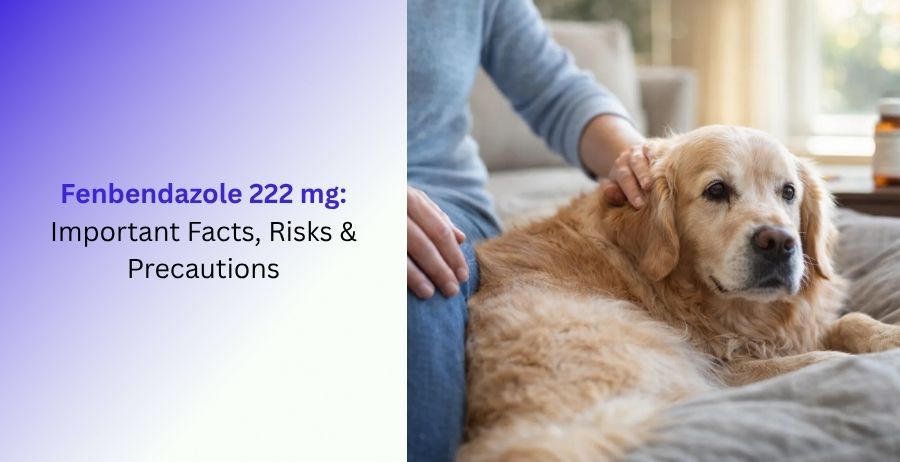 Fenbendazole 222 mg Important Facts, Risks & Precautions
