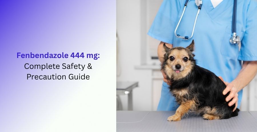 Fenbendazole 444 mg Complete Safety & Precaution Guide