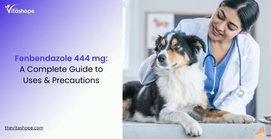 Fenbendazole 444 mg: A Complete Guide to Uses & Precautions