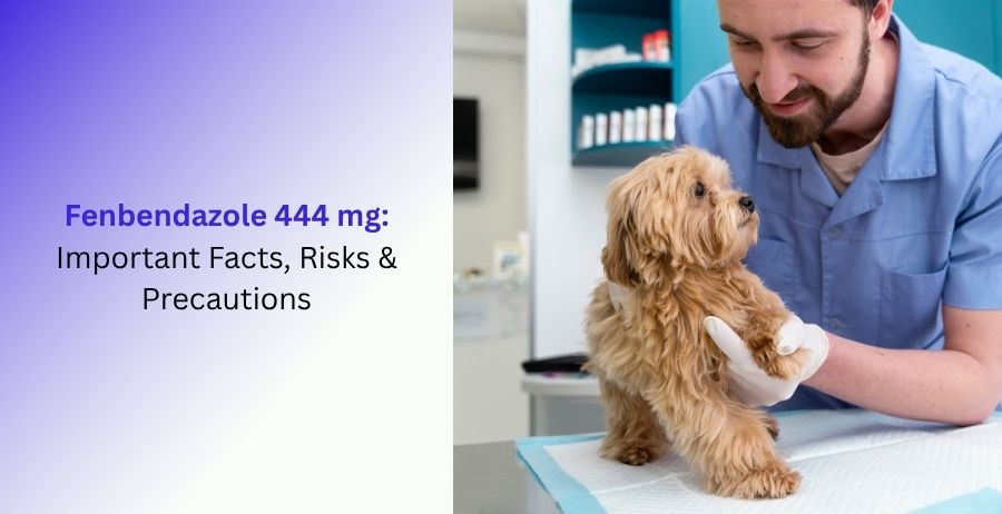 Fenbendazole 444 mg Important Facts, Risks & Precautions