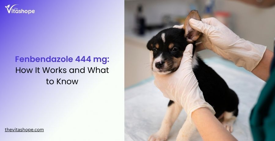 Fenbendazole 444 mg: How It Works and What to Know