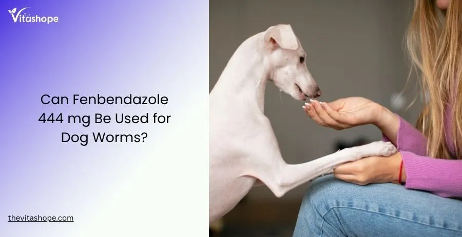 Can Fenbendazole 444 mg Be Used for Dog Worms?