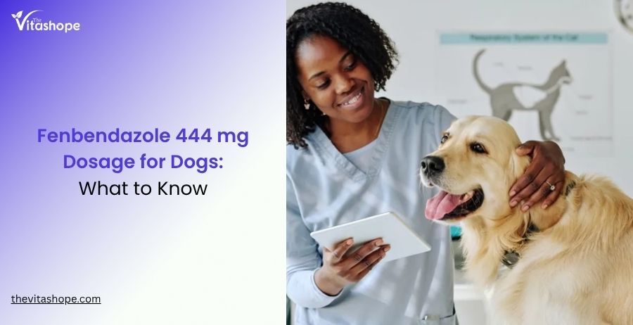 Fenbendazole 444 mg Dosage for Dogs: What to Know
