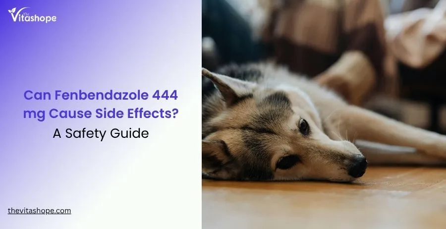 Can Fenbendazole 444 mg Cause Side Effects? A Safety Guide