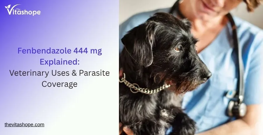 Fenbendazole 444 mg Explained: Veterinary Uses & Parasite Coverage