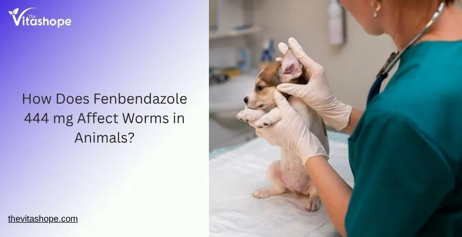 How Does Fenbendazole 444 mg Affect Worms in Animals?